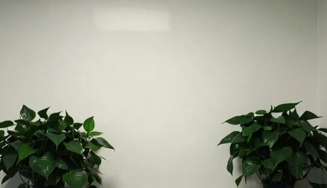 AI技术应用中选择依据对结果的影响